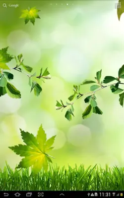 Leaves Live Wallpaper android App screenshot 2