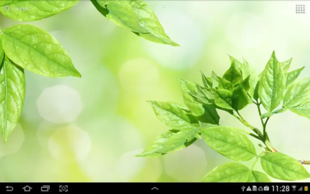 Leaves Live Wallpaper android App screenshot 3